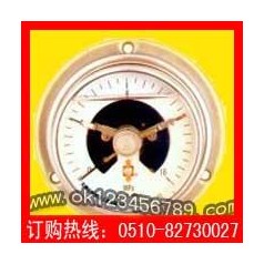 耐震光电信号电接点压力表系列-耐震压力表|真空表|不锈钢压力表