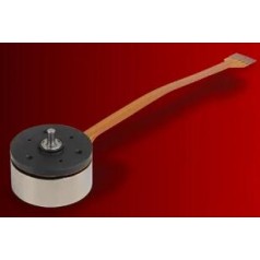 Portescap 无刷直流扁平电机系列