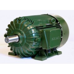 ELSAN异步电机
