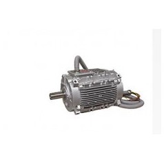 LEROY SOMER 垫装风扇电机CF系列