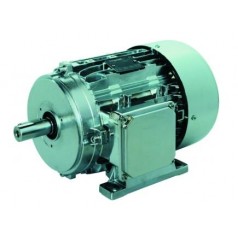 Carpanelli 高效电机IE2系列