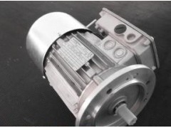 NERI MOTORI变频电机