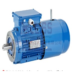 进口ELVEM强制冷电机