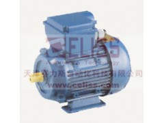 原装土耳其TEE电机