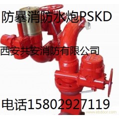 移动式消防水炮《西安临潼》直销PSKD电控电动消防水炮