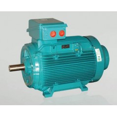 BUSCK 三相铸铁电机IE4高效系列