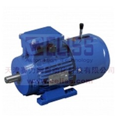 AMTECS制动电机进口