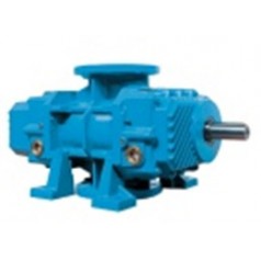 西班牙Pedro ROQUET液压齿轮泵