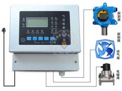 RBK-6000-2分体单通道可燃气体报警器
