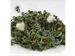 中药材批发野生蒲公英蒲公英茶清热消炎祛痘保肝品质保证量大从优