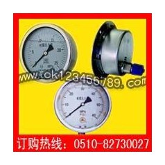 耐震压力表系列-耐震压力表|真空压力表|不锈钢压力表