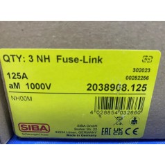 德国进口SIBA熔断器2038908.125