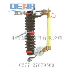 供应RW11-10/100,RW11-10/100原装正品