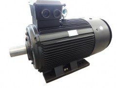 SDM-ZS系列制砂机专用三相异步电动机