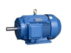 YE2、YE3（80～355）系列高效三相异步电动机