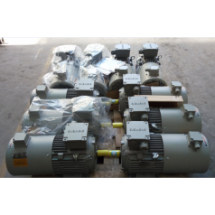 1LE0303系列2 能效IE3铝壳电机