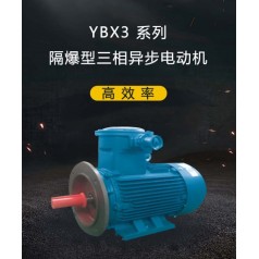 YBX3 系列高效率隔爆型三相异步电动机