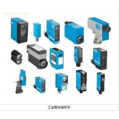 RT-P1620S01德国西克