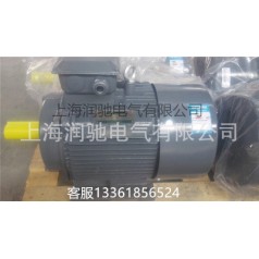4KW西门子贝得电机1TL0001三相异步交流电机380V220V50HZ工频