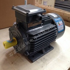 西门子1LE0001-2AB43-3JA6 （B35-K10-30KW）