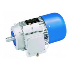 Carpanelli 单相异步电动机系列