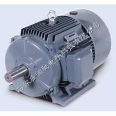 西门子1LE0001-3BC33-3AA4 （B3-K11-185KW）