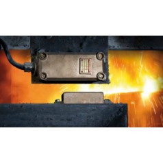 PINTSCH 磁性开关系列