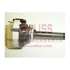 原装LORLIN波动开关