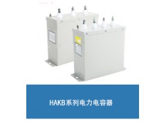 电容器- BSMJ-0.45-50-3