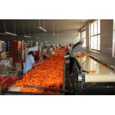 现货供应皮带输送机