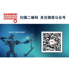 意大利伽比尼斜齿条1HR26R020100S模2精度6