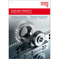 意大利伽比尼斜齿条1HR21R020100H模2精度10