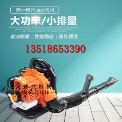 EB808背负式吹风机 二冲程吹雪机 路面养护吹灰机