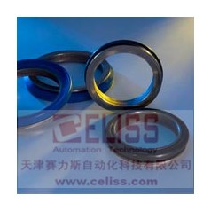 原装进口SIMRIT密封垫