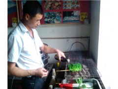 炭火烧烤配方培训,东莞美味烧烤技术哪里学,烧烤做法