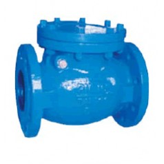 旋启式止回阀（W-H44T-10/16）