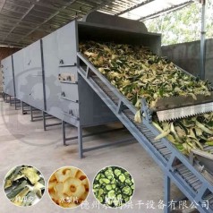 蔬菜烘干机 冬瓜皮干燥机 瓜果烘干设备 带式热风干燥机