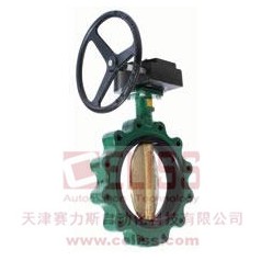 CENTER LINE三偏心蝶阀