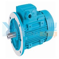 土耳其ELK电动机