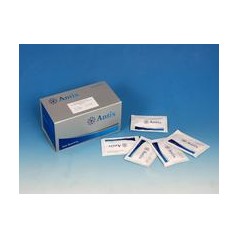 德国DSL机动电位机