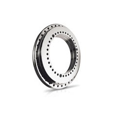 RODRIGUEZ转盘轴承