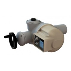 BERNARD CONTROLS 多回转电动执行器AT系列