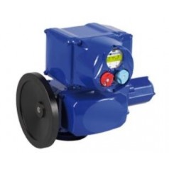 BERNARD CONTROLS 工业 执行器SQ系列