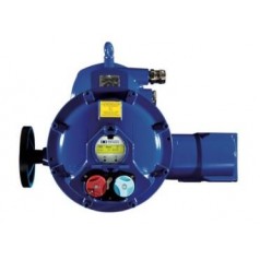 BERNARD CONTROLS 防爆型角行程执行器SQX系列