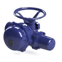 BERNARD CONTROLS 全天候型执行器ST系列