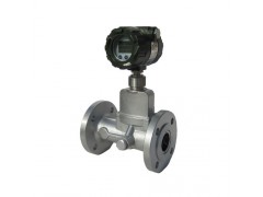 旋进旋涡流量计