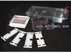 电泳槽/中国 水平电泳槽 A131188