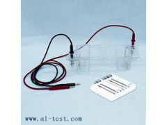 琼脂糖水平电泳仪