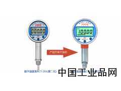 防爆型数字显示温度表