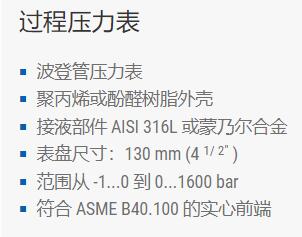 Bourdon 过程压力表系列